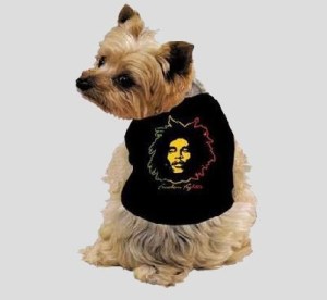 This little fella auditioned for the 'Marley And Me' movie but clearly didn't know the story very well