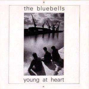 The Bluebells contemplate drowning themselves after hearing that Agadoo is about to be released again!