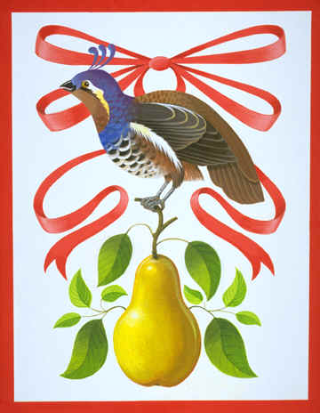partridge-in-a-pear-tree-771236