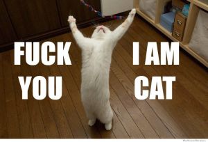 fuck-you-i-am-cat