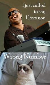 grumpy-cat-stevie-wonder-funny-pictures