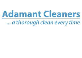 Is Mr Ant following in his Mum's footsteps?