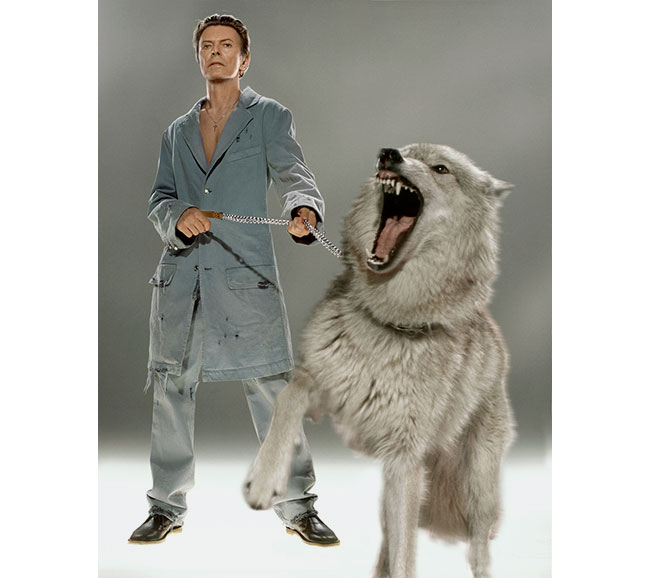 5-david-bowie-diamond-indrina-markus-klinko-dogs-perros