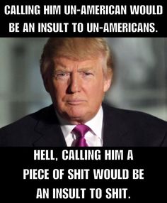 2d53efaa99c3891bdb5b3a6fff88a040--trump-face-donald-trump